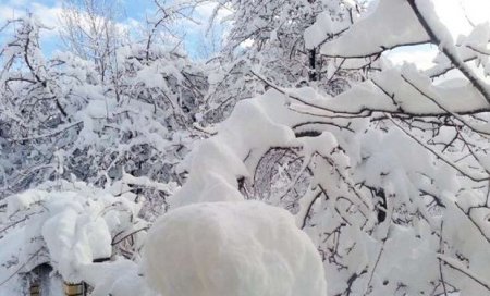 Sabaha olan hava proqnozu açıqlanıb.