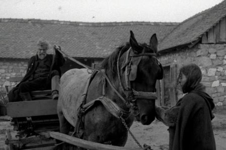 “Artım” layihə məkanında Macarıstan istehsalı olan film göstəriləcək