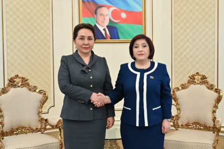 Tənzilə Narbayeva: Prezident İlham Əliyevin rəhbərliyi ilə Azərbaycanın qazandığı uğurlar heyrətamizdir