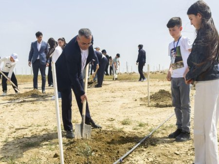 Şəhidlərin və müharibə veteranlarının övladlarının iştirakı ilə ağacəkmə aksiyası keçirilib