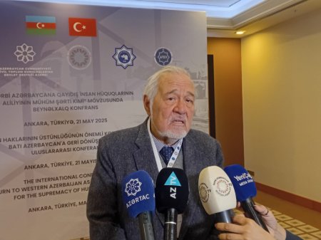 Türkiyəli tarixçi: Qərbi Azərbaycan mövzusunda müzakirələr davam etdirilməlidir