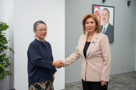 Bahar Muradova UNESCAP-ın icraçı katibi ilə görüşüb