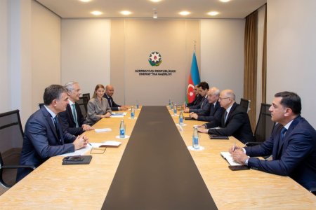 “ACWA Power” şirkəti ilə külək enerjisi layihələrinin icrası müzakirə olunub